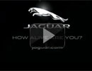 VIDEO: Noua strategie de brand i companie de marketing a Jaguar - 