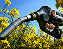 Mai puin biocarburant n benzina din acest an