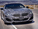 Noul BMW Seria 8 Cabriolet, teste prin aridul Death Valley